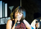 IMG 6751  Chris James (guitare,chant),  Patrick Rynn (basse) , Aki Kumar (harmonica, chant), , Ken Saydak  (claviers, chant),  Melvia &#34;chick&#34; Rogers (chant),   Willie Hayes (batterie) : 2015, BLUES, CHICAGO BLUES FESTIVAL, CONCERT, JAZZ CLUB LIONEL HAMPTON