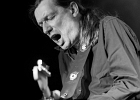 IMG 7548  Alexx Wokenschroll (chant),  Lionel Riss (guitare) Pascal Raphard (batterie), Rico Rajao (basse) : 2015, BLUES, BLUES ROCK, CONCERT, ORSAY, ROCK