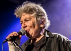 IMG 7611  Little Bob (chant),  Gilles Mallet (guitare), Mickey Blow (harmonica), Bertrand Couloume (contrebasse), Jérémie Piazza (batterie) : 2015, BLUES, BLUES ROCK, CONCERT, ORSAY, ROCK