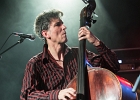 IMG 7634  Little Bob (chant),  Gilles Mallet (guitare), Mickey Blow (harmonica), Bertrand Couloume (contrebasse), Jérémie Piazza (batterie) : 2015, BLUES, BLUES ROCK, CONCERT, ORSAY, ROCK