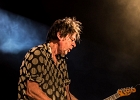 IMG 7636  Little Bob (chant),  Gilles Mallet (guitare), Mickey Blow (harmonica), Bertrand Couloume (contrebasse), Jérémie Piazza (batterie) : 2015, BLUES, BLUES ROCK, CONCERT, ORSAY, ROCK