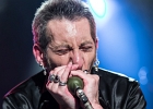 IMG 7637-2  Little Bob (chant),  Gilles Mallet (guitare), Mickey Blow (harmonica), Bertrand Couloume (contrebasse), Jérémie Piazza (batterie) : 2015, BLUES, BLUES ROCK, CONCERT, ORSAY, ROCK