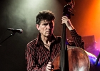 IMG 7644  Little Bob (chant),  Gilles Mallet (guitare), Mickey Blow (harmonica), Bertrand Couloume (contrebasse), Jérémie Piazza (batterie) : 2015, BLUES, BLUES ROCK, CONCERT, ORSAY, ROCK