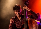 IMG 7645  Little Bob (chant),  Gilles Mallet (guitare), Mickey Blow (harmonica), Bertrand Couloume (contrebasse), Jérémie Piazza (batterie) : 2015, BLUES, BLUES ROCK, CONCERT, ORSAY, ROCK