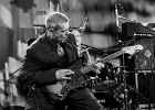 IMG 7764  Red (chant, harmonica), Jacker (guitare), Toma (basse), Guillermo (batterie), Ben (claviers) : 2015, BLUES ROCK, CONCERT, LUX, NEW MORNING, ROCK, SHAGGY DOGS, SPACE COWBOY BLUES