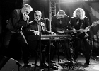 IMG 7781  Red (chant, harmonica), Jacker (guitare), Toma (basse), Guillermo (batterie), Ben (claviers) : 2015, BLUES ROCK, CONCERT, LUX, NEW MORNING, ROCK, SHAGGY DOGS, SPACE COWBOY BLUES