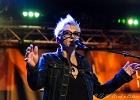 IMG 7667  Space Cowboy Blues : Dom Kiris (claviers, chant),  Mlle Chomb (claviers, chant) : 2015, BLUES ROCK, CONCERT, LUX, NEW MORNING, ROCK, SHAGGY DOGS, SPACE COWBOY BLUES