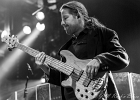IMG 7799  Roll Pignault (chant, harmonica),  Marc Le Devedec  (guitare), Philippe Paleczny  (basse), Lionel André (batterie) : 2016, BILLY BOB'S, BLUES, CONCERT, ROLL  PIGNAULT, ROLL AND STAX POWER, SAN PEDRO SLIM