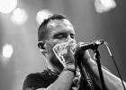 IMG 7820  Roll Pignault (chant, harmonica),  Marc Le Devedec  (guitare), Philippe Paleczny  (basse), Lionel André (batterie) : 2016, BILLY BOB'S, BLUES, CONCERT, ROLL  PIGNAULT, ROLL AND STAX POWER, SAN PEDRO SLIM