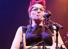 IMG 7896  Véronica Sbergia (chant, yukulele, washboard, harmonica), Max de Bernadi (guitare), Vetro Arredo (contrebasse) : 2016, BILLY BOB'S, BLUES, CONCERT, GOSPEL, MISS NICKKY, SOFIE REED, SOUL, VERONICA SBERGIA AND THE RED WINE SERENADERS
