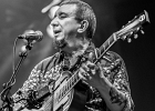 IMG 7922  Véronica Sbergia (chant, yukulele, washboard, harmonica), Max de Bernadi (guitare), Vetro Arredo (contrebasse) : 2016, BILLY BOB'S, BLUES, CONCERT, GOSPEL, MISS NICKKY, SOFIE REED, SOUL, VERONICA SBERGIA AND THE RED WINE SERENADERS