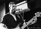 IMG 8558  Ana Popovic (Guitare,Voix), Michele Papadia (Claviers,Voix), Ronald Jonker (Basse,Voix), Stephane Avellaneda (Batterie,Voix) : 2016, ANA POPOVIC, BLUES, BLUES ROCK, CONCERT, NEW MORNING
