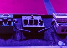 IMG 8577  Ana Popovic (Guitare,Voix), Michele Papadia (Claviers,Voix), Ronald Jonker (Basse,Voix), Stephane Avellaneda (Batterie,Voix) : 2016, ANA POPOVIC, BLUES, BLUES ROCK, CONCERT, NEW MORNING