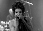 IMG 9044  Rachelle Plas (chant, harmonica), Philippe Hervouet (guitare),  Philippe Gonnand (basse),  Marc Hazon (batterie) : 2016, BLUES, BLUES ROCK, CONCERT, RACHELLE PLAS, TREMBLAY EN FRANCE