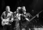 IMG 9065  Rachelle Plas (chant, harmonica), Philippe Hervouet (guitare),  Philippe Gonnand (basse),  Marc Hazon (batterie) : 2016, BLUES, BLUES ROCK, CONCERT, RACHELLE PLAS, TREMBLAY EN FRANCE