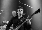 IMG 9108  Rachelle Plas (chant, harmonica), Philippe Hervouet (guitare),  Philippe Gonnand (basse),  Marc Hazon (batterie) : 2016, BLUES, BLUES ROCK, CONCERT, RACHELLE PLAS, TREMBLAY EN FRANCE