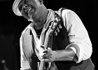 IMG 9176  Ronnie Baker Brooks (chant, guitare), Daryl Coutts  (claviers),  Maurice Jones (batterie), Aron Seder (basse) : 2016, BLUES, BLUES ROCK, CONCERT, TREMBLAY EN FRANCE