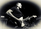 IMG 1275  Tommy Castro (guitar), Mike Emerson (claviers), Randy McDonald (basse), Bowen Brown (batterie) : 2016, BLUES, BLUES ROCK, CONCERT, NEW MORNING, TOMMY CASTRO