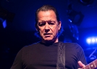 IMG 1282  Tommy Castro (guitar), Mike Emerson (claviers), Randy McDonald (basse), Bowen Brown (batterie) : 2016, BLUES, BLUES ROCK, CONCERT, NEW MORNING, TOMMY CASTRO