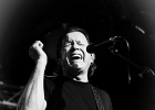 IMG 1299  Tommy Castro (guitar), Mike Emerson (claviers), Randy McDonald (basse), Bowen Brown (batterie) : 2016, BLUES, BLUES ROCK, CONCERT, NEW MORNING, TOMMY CASTRO