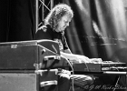 IMG 1329  Tommy Castro (guitar), Mike Emerson (claviers), Randy McDonald (basse), Bowen Brown (batterie) : 2016, BLUES, BLUES ROCK, CONCERT, NEW MORNING, TOMMY CASTRO