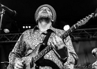 IMG 1429  Bo Weavil Band : 2016, BLUES ROCK, BO WEAVIL BAND, CONCERT, NEW MORNING, PANAME BLUES NIGHT
