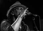 IMG 1991  Joe Louis Walker (chant, guitare),  Lenny Bradford (basse), Byron Cage (batterie), Travis Reed (claviers) : 2016, BLUES, CONCERT, JOE LOUIS WALKER, NEW MORNING