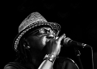 IMG 1992  Joe Louis Walker (chant, guitare),  Lenny Bradford (basse), Byron Cage (batterie), Travis Reed (claviers) : 2016, BLUES, CONCERT, JOE LOUIS WALKER, NEW MORNING