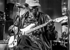 IMG 3014  Bill HowlnMadd Perry (chant, guitare) : 2016, CONCERT, CROISIERE BLUES, EUROPEAN BLUES CRUISE
