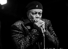 IMG 3128  Billy Branch (chant, harmonica), Giles Corey (guitare), Ariyo (claviers), Marvin Little (basse),  Andrew Blaze Thomas (batterie) : 2016, CONCERT, CROISIERE BLUES, EUROPEAN BLUES CRUISE
