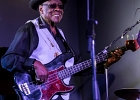 IMG 4461  Bob Stroger (basse, chant), Bob Margolin (guitare, chant), Bob Corritore (harmonica), Simon Boyer (batterie), Sherry Margolin (piano), Chief Udoh Essiet (percussions) : 2016, BLUES, BOB CORRITORE, BOB MARGOLIN, BOB STROGER, CONCERT, JAZZ CLUB LIONEL HAMPTON, SIMON BOYER