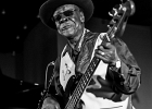 IMG 4476  Bob Stroger (basse, chant), Bob Margolin (guitare, chant), Bob Corritore (harmonica), Simon Boyer (batterie), Sherry Margolin (piano), Chief Udoh Essiet (percussions) : 2016, BLUES, BOB CORRITORE, BOB MARGOLIN, BOB STROGER, CONCERT, JAZZ CLUB LIONEL HAMPTON, SIMON BOYER