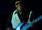 IMG 4493  Bob Stroger (basse, chant), Bob Margolin (guitare, chant), Bob Corritore (harmonica), Simon Boyer (batterie), Sherry Margolin (piano), Chief Udoh Essiet (percussions) : 2016, BLUES, BOB CORRITORE, BOB MARGOLIN, BOB STROGER, CONCERT, JAZZ CLUB LIONEL HAMPTON, SIMON BOYER