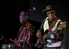 IMG 4495  Bob Stroger (basse, chant), Bob Margolin (guitare, chant), Bob Corritore (harmonica), Simon Boyer (batterie), Sherry Margolin (piano), Chief Udoh Essiet (percussions) : 2016, BLUES, BOB CORRITORE, BOB MARGOLIN, BOB STROGER, CONCERT, JAZZ CLUB LIONEL HAMPTON, SIMON BOYER