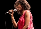 IMG 4605 : 2016, ACHERES, BLUES SUR SEINE, CONCERT, FUNK, LE SAX, MARVELOUS, RYTHM AND BLUES, SOUL, THE EXCITEMENTS