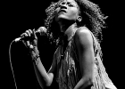 IMG 4609 : 2016, ACHERES, BLUES SUR SEINE, CONCERT, FUNK, LE SAX, MARVELOUS, RYTHM AND BLUES, SOUL, THE EXCITEMENTS