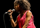 IMG 4613 : 2016, ACHERES, BLUES SUR SEINE, CONCERT, FUNK, LE SAX, MARVELOUS, RYTHM AND BLUES, SOUL, THE EXCITEMENTS