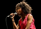 IMG 4614 : 2016, ACHERES, BLUES SUR SEINE, CONCERT, FUNK, LE SAX, MARVELOUS, RYTHM AND BLUES, SOUL, THE EXCITEMENTS