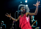 IMG 4644 : 2016, ACHERES, BLUES SUR SEINE, CONCERT, FUNK, LE SAX, MARVELOUS, RYTHM AND BLUES, SOUL, THE EXCITEMENTS