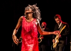 IMG 4648 : 2016, ACHERES, BLUES SUR SEINE, CONCERT, FUNK, LE SAX, MARVELOUS, RYTHM AND BLUES, SOUL, THE EXCITEMENTS