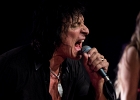 IMG 4837  Jimmie Wood (chant, harmonica),  JJ Holiday (guitar), Billy Sullivan (batterie), Danny Avilla (basse), Rachelle C Wood (choeur) : 2016, BLUES, BLUES ROCK, CONCERT, NEW MORNING, ROCK