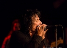 IMG 4849  Jimmie Wood (chant, harmonica),  JJ Holiday (guitar), Billy Sullivan (batterie), Danny Avilla (basse), Rachelle C Wood (choeur) : 2016, BLUES, BLUES ROCK, CONCERT, NEW MORNING, ROCK