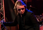 IMG 5091  Lord Tracy (chant, harmonica), Jacques Méhard (guitare), Julien Boisseau (basse), Olivier Hurtu (batterie) : 2016, BLUES, BLUES ROCK, CONCERT, JESUS VOLT, NEW MORNING, ROCK, SIMO