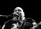 IMG 5259  Popa Chubby (guitare, chant),  Dave Keyes (claviers), Conrad St Clair (basse),  XXX ( batterie) : 2016, BLUES ROCK, CONCERT, LA CIGALE, POPA CHUBBY, ROCK