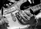IMG 5268  Popa Chubby (guitare, chant),  Dave Keyes (claviers), Conrad St Clair (basse),  XXX ( batterie) : 2016, BLUES ROCK, CONCERT, LA CIGALE, POPA CHUBBY, ROCK