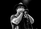 IMG 5355  Matthew Skoller (Harmonica), Stan Noubard Pacha  (guitare), Fred Jouglas (basse), Pascal Delmas (batterie) : 2016, BLUES, CONCERT, MATTHEW SKOLLER, NEW BLUES GENERATION, TREMBLAY EN FRANCE