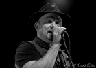 IMG 5359  Matthew Skoller (Harmonica), Stan Noubard Pacha  (guitare), Fred Jouglas (basse), Pascal Delmas (batterie) : 2016, BLUES, CONCERT, MATTHEW SKOLLER, NEW BLUES GENERATION, TREMBLAY EN FRANCE