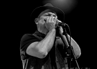 IMG 5360  Matthew Skoller (Harmonica), Stan Noubard Pacha  (guitare), Fred Jouglas (basse), Pascal Delmas (batterie) : 2016, BLUES, CONCERT, MATTHEW SKOLLER, NEW BLUES GENERATION, TREMBLAY EN FRANCE