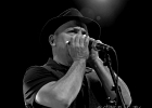 IMG 5361  Matthew Skoller (Harmonica), Stan Noubard Pacha  (guitare), Fred Jouglas (basse), Pascal Delmas (batterie) : 2016, BLUES, CONCERT, MATTHEW SKOLLER, NEW BLUES GENERATION, TREMBLAY EN FRANCE
