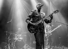 IMG 5475  Mr. Sipp  (guitare,chant),  Terrie Odabi (chant),  Jeff Flanagan (basse),  Stanley Dixon Jr. (batterie) : 2016, BLUES, CONCERT, Mr SIPP, NEW BLUES GENERATION, TERRIE ODABI, TREMBLAY EN FRANCE